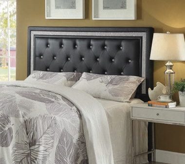 Andenne Queen Full Tufted Upholstered Headboard Black - 300544QF For Sale