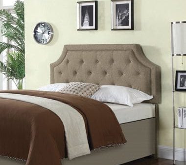 Rutherford Queen And Full Tufted Upholstered Headboard Mushroom - 301020QF Online now